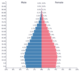 India Population Pyramid India Population Pyramid